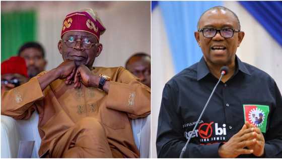 Tinubu or Peter Obi? INEC portal reveals real winner of 2023 presidential election in Rivers state