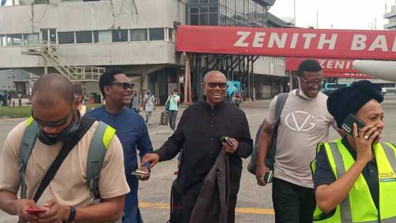 2023: Ex-President Jonathan's ex-aide reveals "one of the biggest mistakes Peter Obi made"