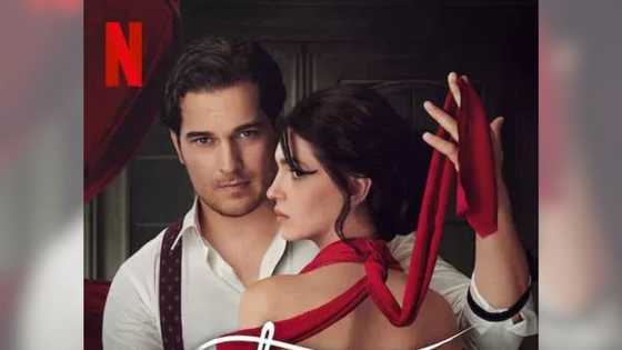 « Le Tailleur » saison 1 sur Netflix : résumé et guide des épisodes
