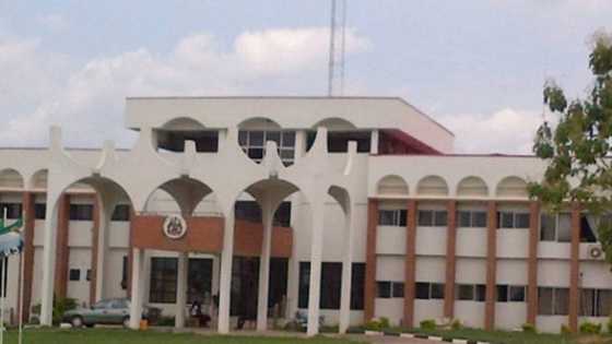 2023: APC Ta Yi Babban Abun Kunya, Jam'iyar PDP Ta Kwace Kujerun Yan Majalisu 25 Cikin 26 a Jiha 1
