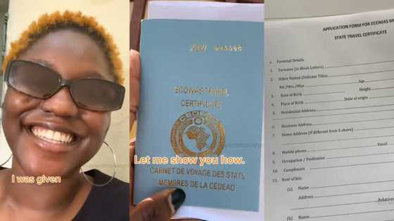 "I got my passport within 2 hours": Lady gets ECOWAS travel passport fast after application, video goes viral