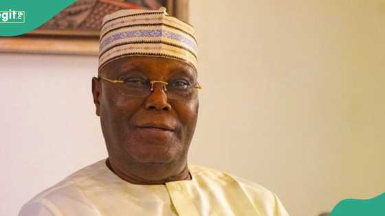 Atiku under fire over comment on US 2024 presidential election