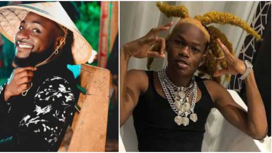 I killed Goliath: Davido finally replies US rapper who accused him of copying his slang