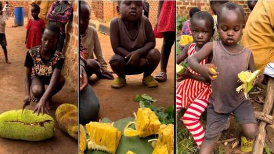 "Never seen it all my life": Video of rare fruit served to kids at orphanage causes buzz, people react