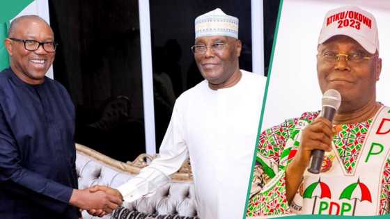 Atiku, Obi's permutations: What is their motive? Lawyer queries