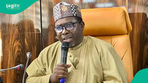 Asiri ya tonu: An gano masu shirya kai farmaki kan matasan da za su y aikin zaɓen 2027