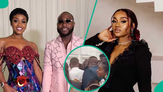 Chivido 2025: Video of crowd queuing for Amala at Davido & Chioma's wedding surfaces, fuels comments