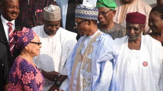 Tukuna dai: Buhari bai yi na’am da karin albashi ba – Fadar Shugaban kasa