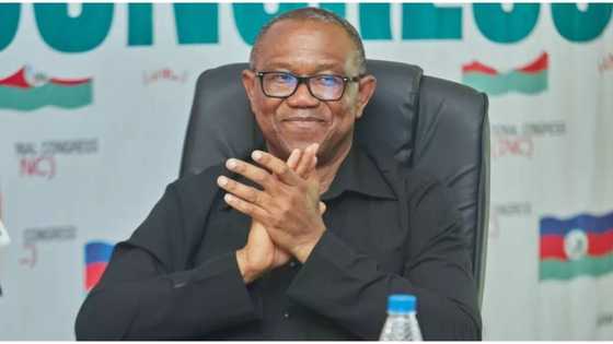 Japa: "Nigeria's brain drain today will be its brain gain tomorrow", says Peter Obi