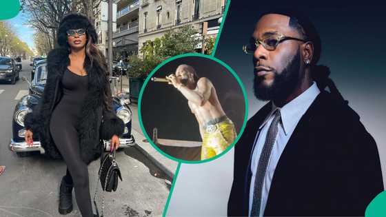 Burna Boy vs Sophia Egbueje: Drama as Nigerians decide who is to blame in the Lamborghini saga
