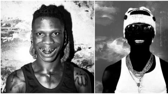 "I love this bromance": Reactions as Seyi Vibez and Rema both use each other's photo as DP