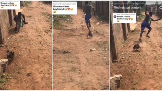 "See the way am screaming": Video shows moment Nigerian man fled as fowl chased him, stirs reactions
