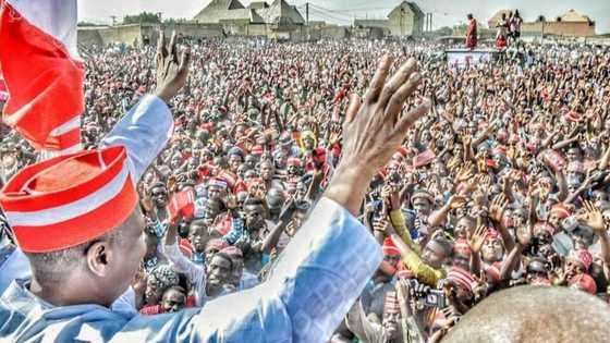 Komai ya na iya faruwa a 2023 – Kwankwaso ya tanka masu rade-radin sake shiga APC