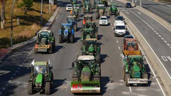 Unions join Spanish farmer protests on third day