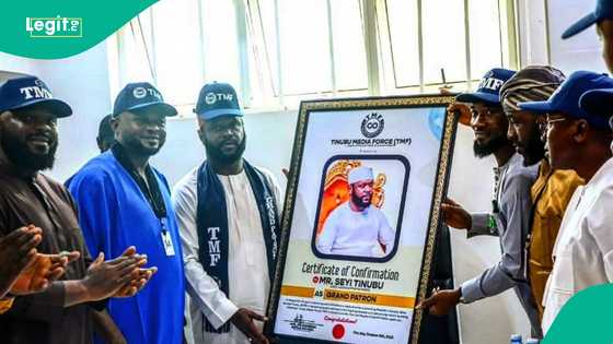 2027 elections: Influential grassroots group honours Seyi Tinubu, pledges support for president