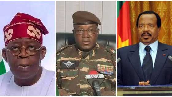 List of Nigerian states that share borders with other countries