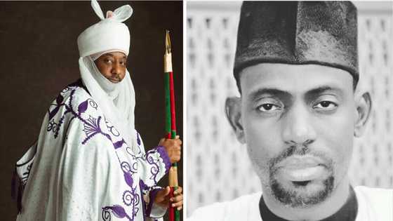 Babbar magana: Sarki Sunusi ne ya tunzura matan arewa suke kashe mazajensu - Hon. Zulyadaini