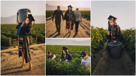 Oyinbo lady bags degree, visits parents on the farm to thank them for paying her school fees