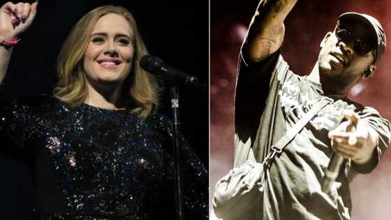 Singing superstar Adele is reportedly dating British-Nigerian rapper Skepta