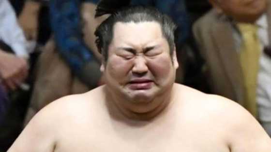 Sumo wrestler Tokushoryu becomes overnight hero in Japan, bursts into tears (video)