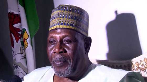 Abdulsalami: Rawar da Babagana Kingibe ya taka bayan mutuwar MKO Abiola