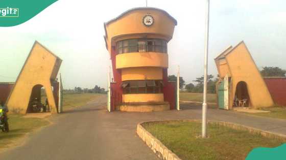 ICAN challenge: Ilaro poly wins 3rd place beat UNIZIK, BSU, others