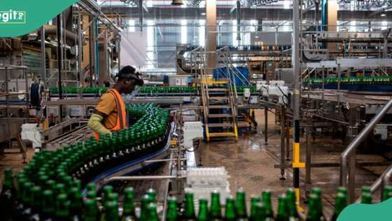 Beer maker Champion Breweries posts over N800m profit in 2024