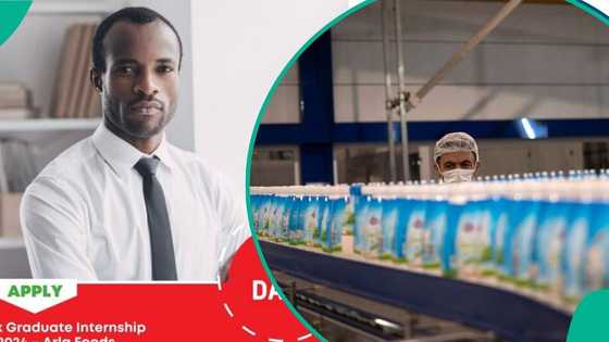 Dano Milk makers open 2026 internship scheme for Nigerians, selected candidates to get monthly pay