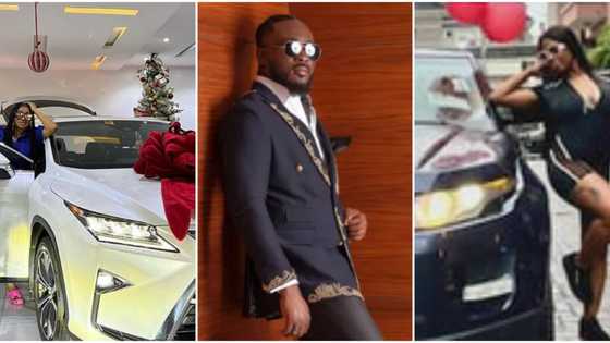 Pere, Angel, Liquorose, other BBNaija season stars who have acquired new cars since they left Biggie's house