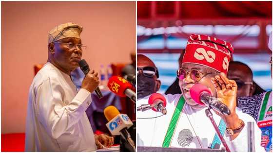 2023 presidency: Atiku begins move to stop Tinubu's victory? Melaye spills