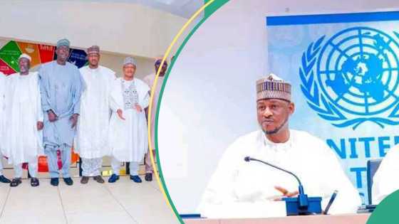 'Yan bindiga: Gwamnonin Arewa sun nemi taimakon majalisar dinkin duniya