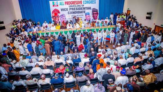 Presidency 2023: Prominent Lagos APC chieftain speaks on Muslim-Muslim ticket