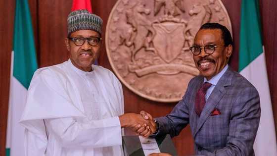 Debt crisis: Rewane lists steps for Nigeria to escape as China gives 3 conditions to Buhari or Tinubu