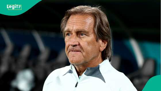 FIFA’s $960k: Former Super Falcons coach Randy Waldrum calls out NFF over World Cup money