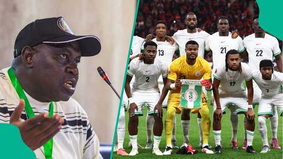 Super Falcons coach aims stylish dig at Super Eagles after 2026 FIFA World Cup absence