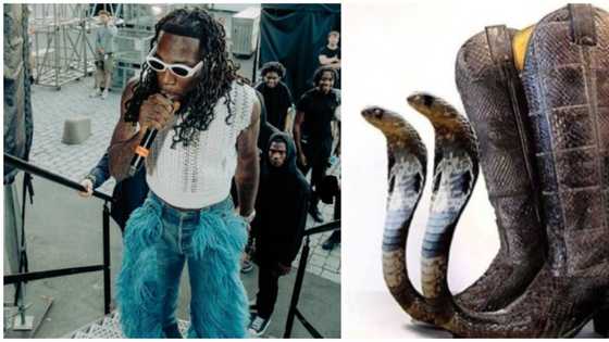 Nigerians react to photo of bizarre snake boots, say Burna Boy can rock it