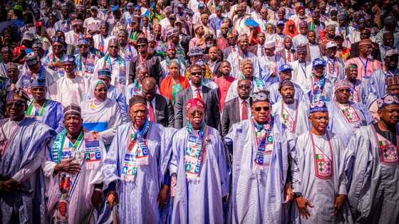 2023 Presidency: Tinubu makes juicy promises to Nigerians at northwest rally