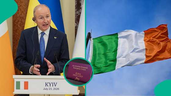 Ireland explains how long passport applications take, shares which option is faster