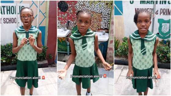 "School fees no waste": Nigerian kids speak Queen's English, pronounce words in funny way, people laugh