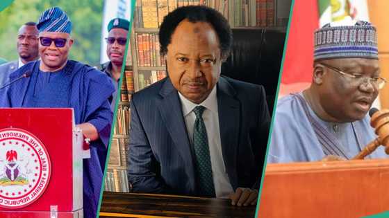 “I’m not sure of Lawan, Akpabio”: Shehu Sani reacts to video of Kenyan senators running