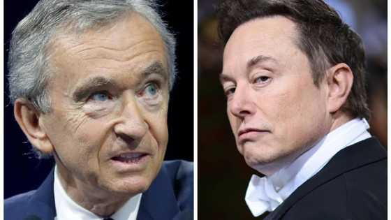Elon Musk ready to reclaim title of world's richest man as French billionaire, Arnault loses N4.16trn in 7days