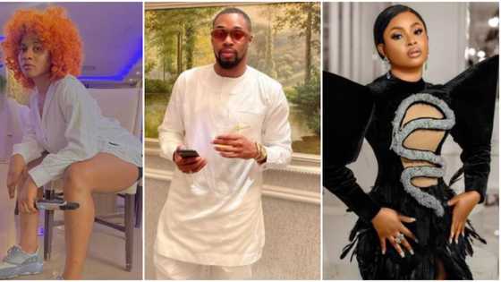 Sheggz, Bella, Phyna, other Level-Up stars who are the most talked about housemates on the show