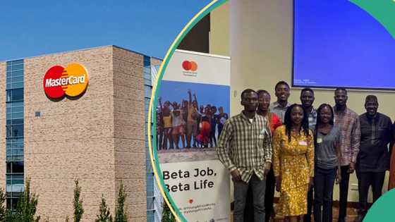 “Apply now”: Mastercard announces 300 internship opportunities for fresh graduates, sets application deadline