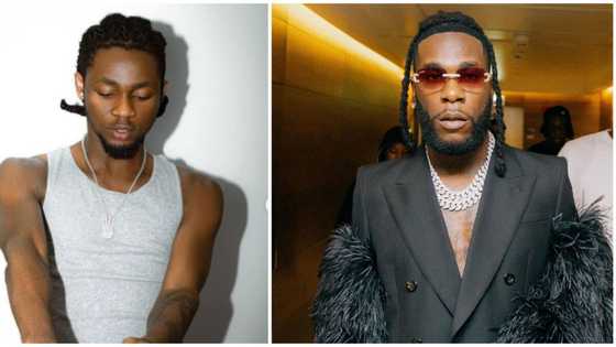I go remove am: Omah Lay says as fans ask if Burna Boy is featured on his album