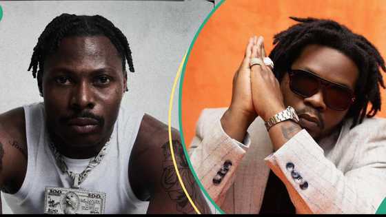 Asake launches brand 'Giran Republic' amid album release, updates bio, fans react: "Record label?"