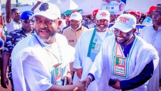 Ganduje da gaske yake, jam'iyyar APC ta ƙara yi wa PDP da wasu jam'iyyu 3 Babban Lahani a Arewa