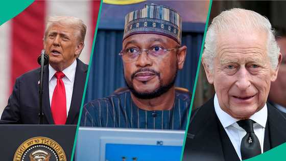 Trump, UK government told to issue travel ban on top Nigerian governor, reason, other details emerge