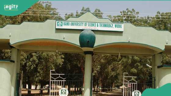 An shiga jimamin rashin daliba Aishat a jami'ar Aliko Dangote bayan tsintar gawarta a daki