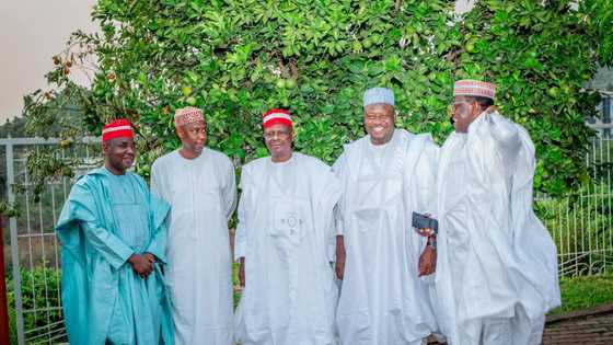 Bayanai sun fito kan haduwar Kwankwaso da jagororin NNPP kafin zaman kotun koli