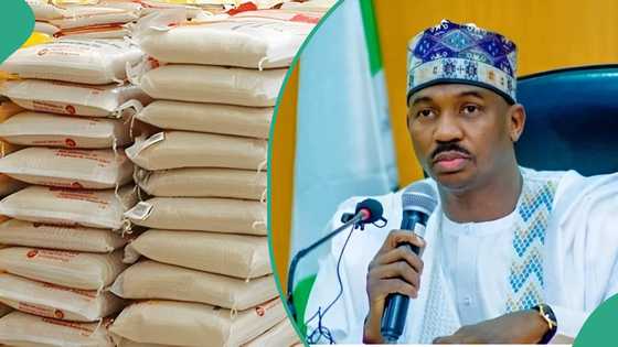 Gwamna ya karya farashin buhun shinkafa zuwa N40,000 a Arewa, bayanai sun fito